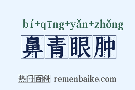 鼻青眼肿是什么意思的图片